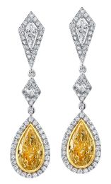 McCaskill & Company Signature Collection Diamond and Fancy Yellow Diamond Drop Earrings